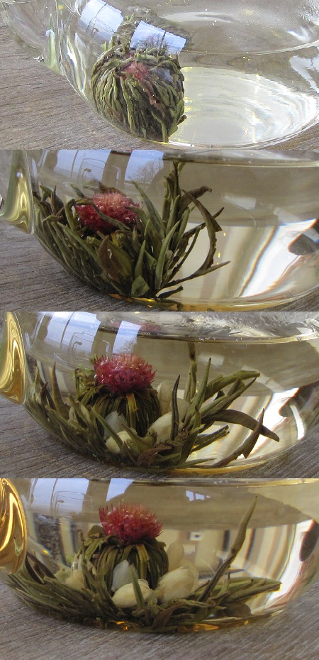 L'éclosion de la fleur de thé… – Mnêmosunê